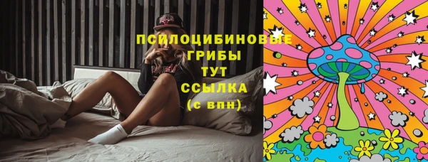 винт Касимов