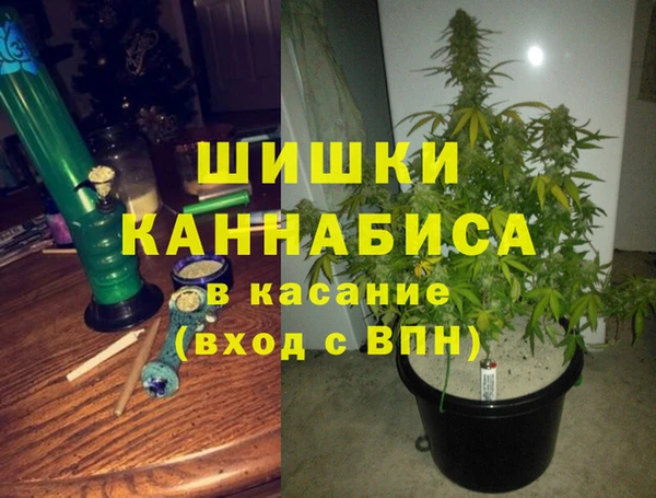 спайс Карпинск