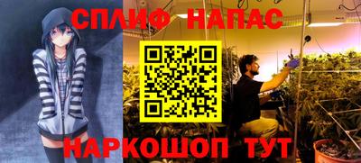 spice Канаш