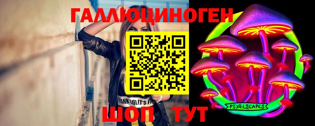 даркнет сайт  Вход с VPN  Краснодар  Псилоцибиновые грибы MAGIC MUSHROOMS 