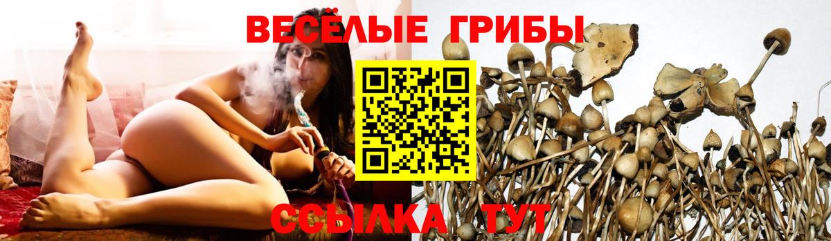 Псилоцибиновые грибы ЛСД Краснодар